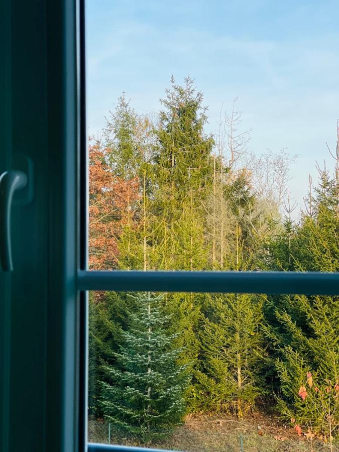 Apartment "Le Briand" Charming Base For Your Sightseeing In Touraine Noizay Buitenkant foto